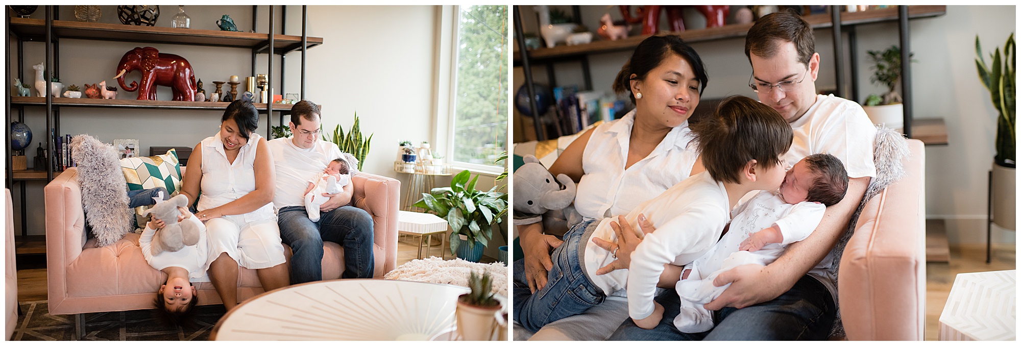 Family of four on pink couch two little boys Emily Ann Photography Seattle Photographer Indoor Newborn Photoshoot