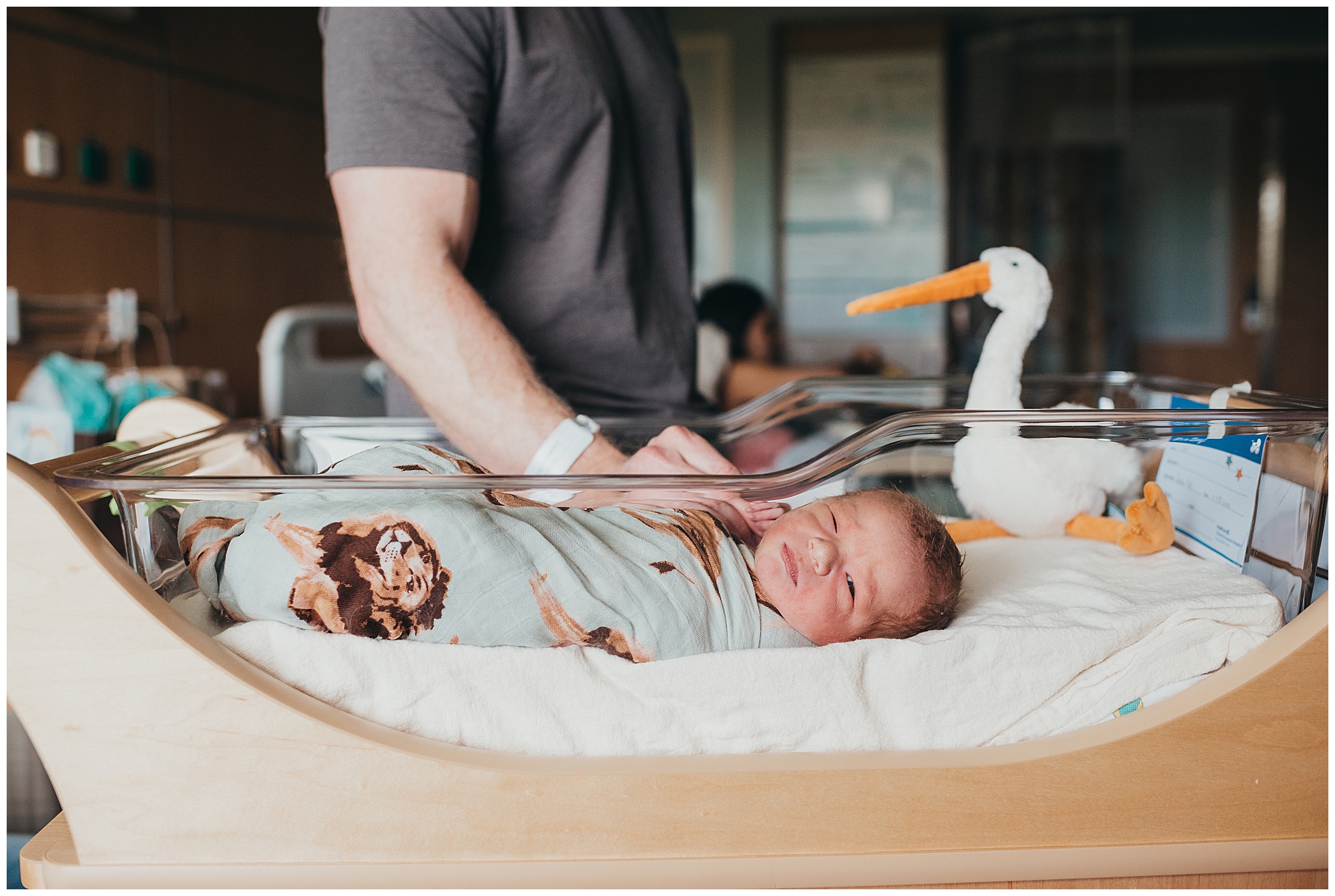 Baby Boy in hospital bassinet with dad and stork fresh 48 Emily Ann Photography Seattle Area Photographer