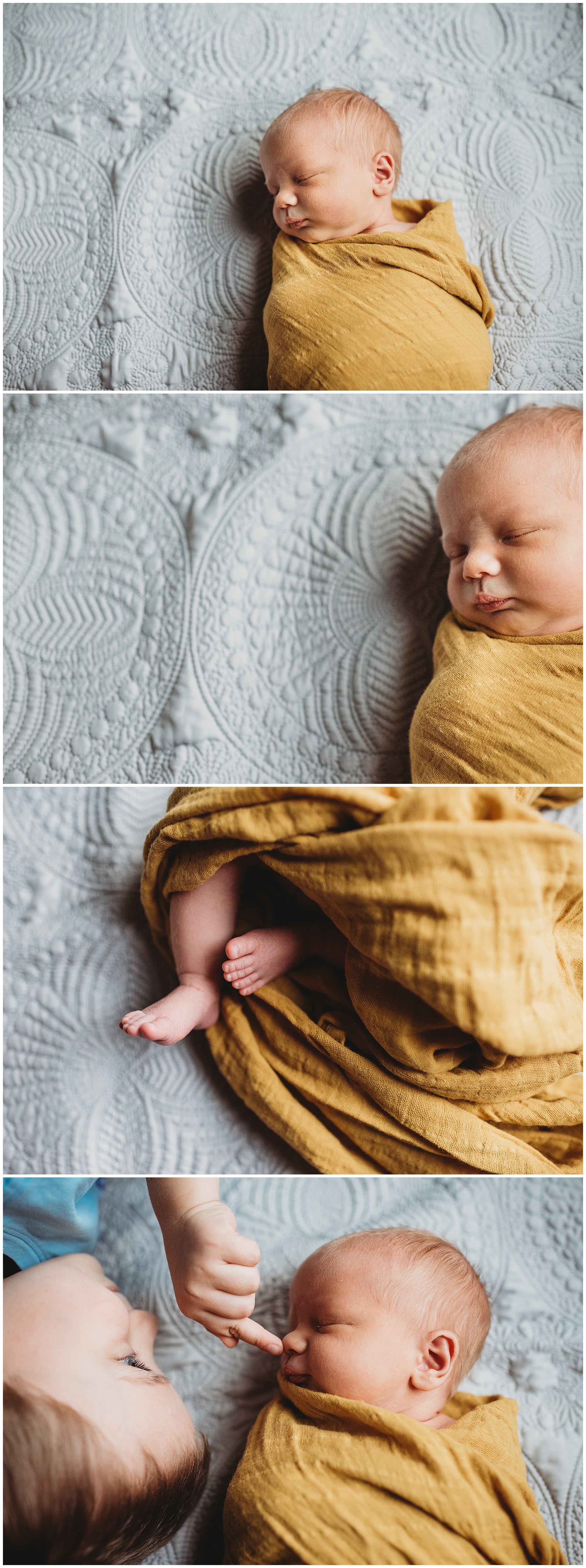 Collage of newborn baby swaddled in yellow mustard blanket Emily Ann Photography Seattle Photographer