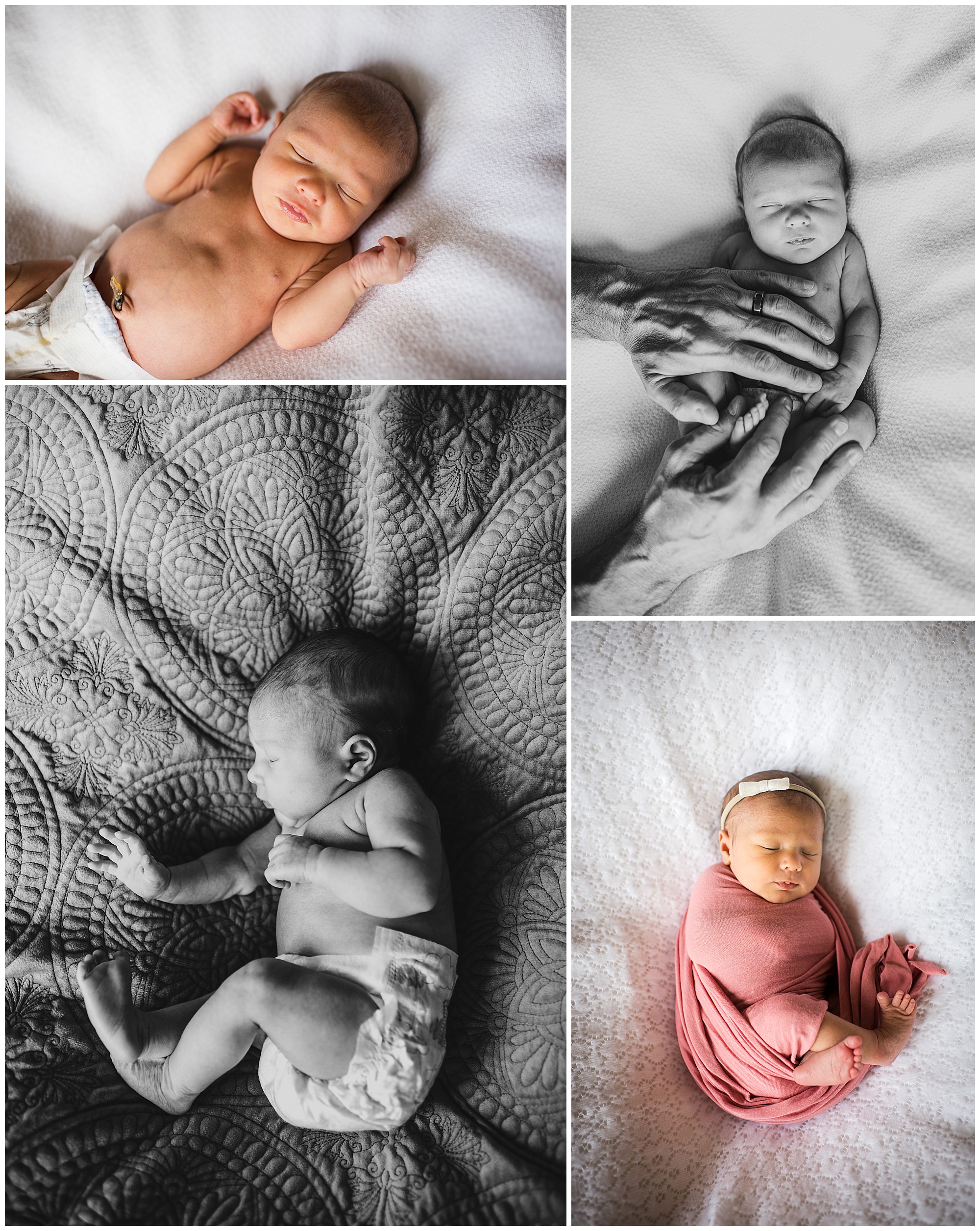 Newborn baby girl lifestyle photography