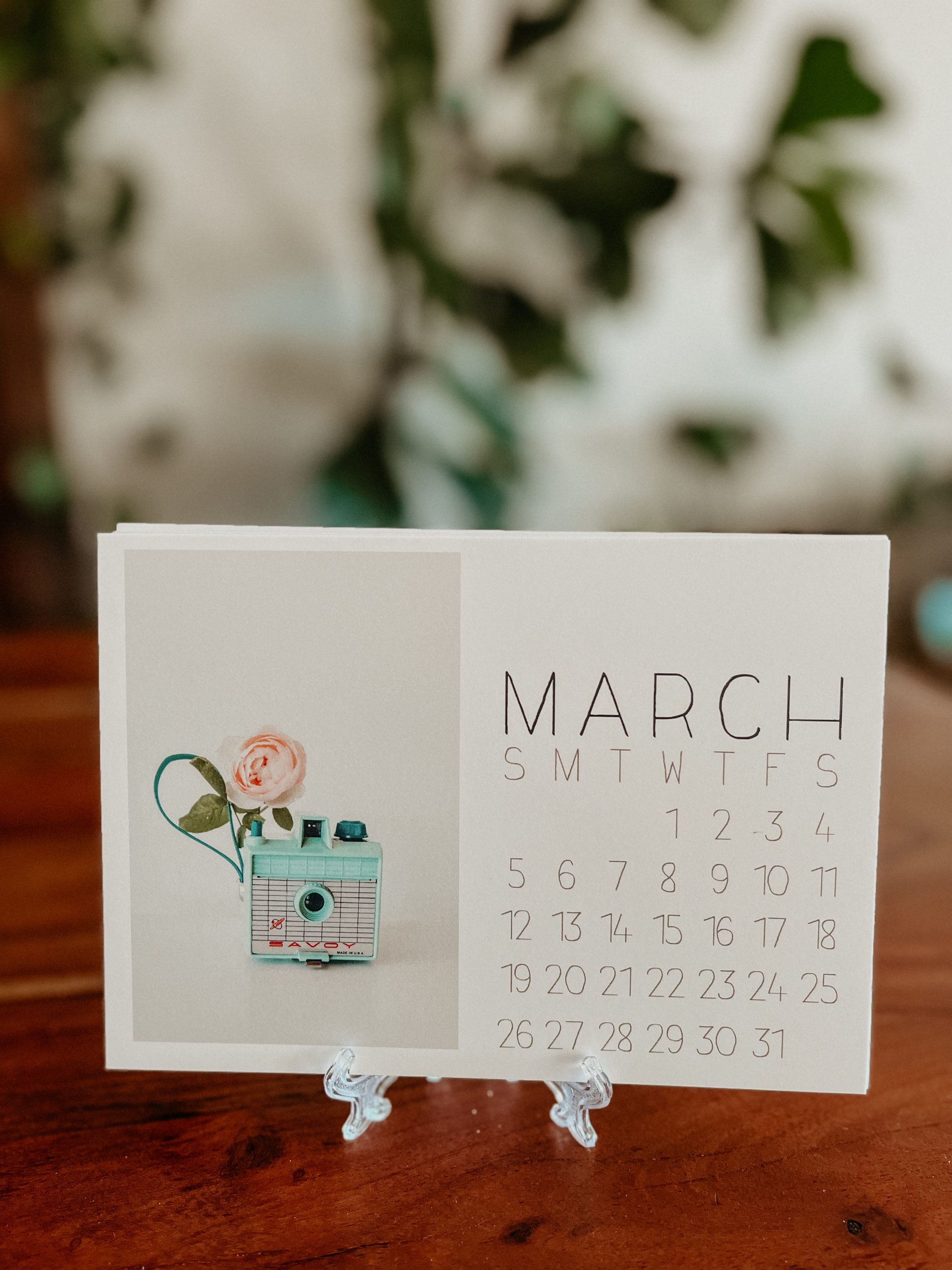 2023 Desk Calendar by Emily Ann Photography