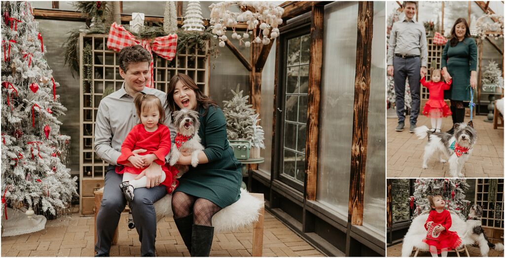 Dog-friendly studio in Shoreline, WA featuring family of three with small dog at christmas time.