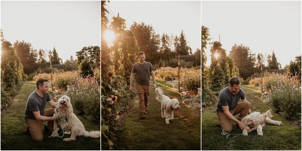 Doodle dog and human dad walking in garden during sunset