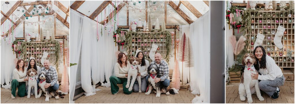 family photos in dog-friendly studio in shoreline, wa. The Little Glass Studio