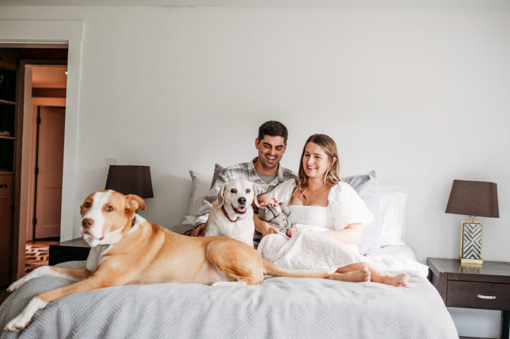 parents hold newborn baby on bed while their two dogs smile at the camera